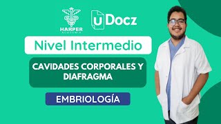 Cavidades corporales y diafragma con Harper Academia amp uDocz 📚 Nivel Intermedio [upl. by Kaz]