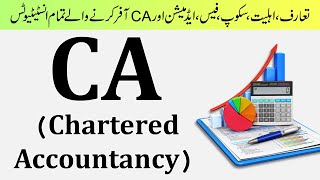 What is CA  Scope of CA  Complete Information about Chartered Accountancy CA [upl. by Kingston]