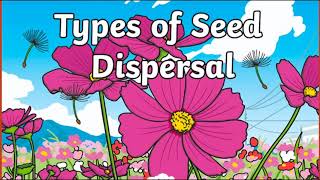 Types of Seed Dispersal Different types of seed dispersal [upl. by Albina887]