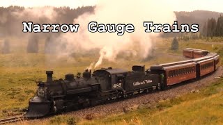 Narrow Gauge Trains [upl. by Gabbey384]