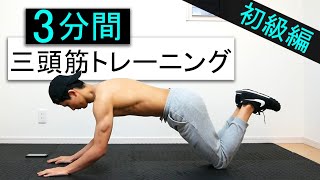 【初心者向け】3分間4種目の上腕三頭筋トレーニング！ [upl. by Irep]