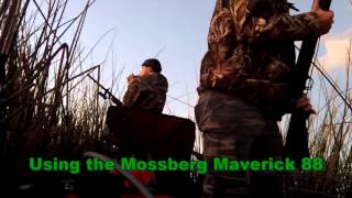 Mossberg Maverick duck hunt [upl. by Fi]