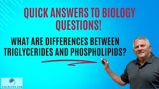 Whats the difference between triglycerides and phospholipids [upl. by Roanna911]