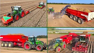 Busy Harvest day at Franzen Farms  Windrowing amp Loading Onions  Lifting Potatos and Sugar Beet [upl. by Holzman]