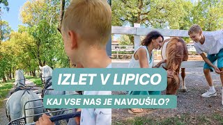 Kobilarna Lipica  odlične ideje kaj vse početi [upl. by Cairistiona509]