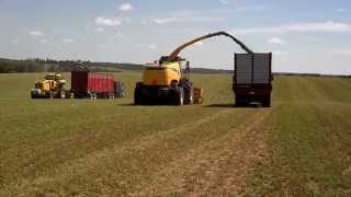 New Holland Fr9060 vs Fx60 [upl. by Nueormahc401]