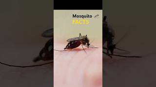 Interesting facts about mosquitoes Why Mosquitoes Bite Some People More Than OthersMosquito Facts [upl. by Elenahc]