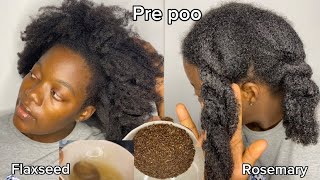 Prepoo Routine For Natural Hair [upl. by Corabella]