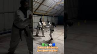 🎖Evana’s Board Break  Taekwondo 🥋 Belt Grading Test of 🟢☝️To 🔵 [upl. by Haidabez]