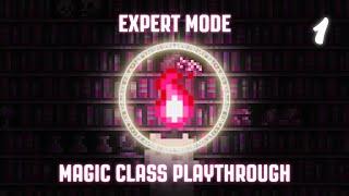 Terraria 13  Expert Mode Magic ClassMage Playthrough  Part 1 [upl. by Lered856]