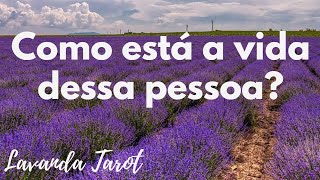 tarot Como está a vida dessa pessoa [upl. by Shirlee]