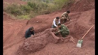 180 mlnyearold dinosaur fossils discovered in SW China [upl. by Ringe]