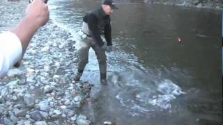 Trinity River Fall Steelhead with Don Newman [upl. by Omarr]