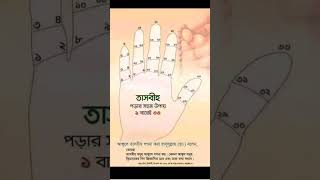 newsongbangla bondhutumivalotumitochanderalo barbarpremeporejai [upl. by Nnaeel389]