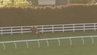 15 October Gallops Gallop 5 [upl. by Bonney]