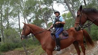 Explications des règles de chasse par un gendarme à cheval de la garde républicaine [upl. by Jed]