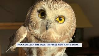 Owl found in Rockefeller Center Christmas tree last year to be featured in new book [upl. by Wunder772]