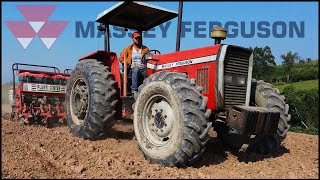 GOSTA DE MASSEY FERGUSON ASSISTA ESSE VIDEO MASSEY FERGUSON 292 PLANTANDO MILHO PRA SILAGEM [upl. by Lewak52]