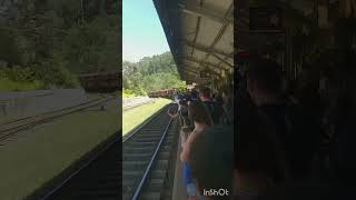 Ella Railway StationTravel 😍🌺🌻ella train viralvideo travel srilanka beautifulusa [upl. by Aicak]