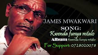 James Mwakwari  Kwenda funya mtaloOfficial Audio [upl. by Nalepka]