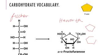 Carbohydrates Dr Terrell [upl. by Hyacintha]