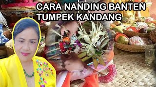 CARA NANDING BANTEN TUMPEK KANDANG SEDERHANA [upl. by Elka]