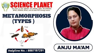 TYPES OF METAMORPHOSIS IN INSECTS II BY ANJU MAM [upl. by Divod]