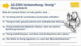 A2DSHVorbereitung indirekte Rede Übung 04 Honig statt Indu [upl. by Heiner]