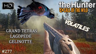 THE HUNTER CALL OF THE WILD 277 UNE NOUVELLE CHASSE AUX VOLATILES SUR REVONTULI COAST 2024 [upl. by Noremak]