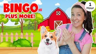 Bingo  More Nursery Rhymes amp Kids Songs  Ms Rachel [upl. by Radek]