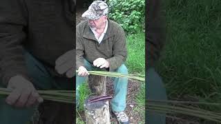 Part 1  Making Natural Cordage From Stinging Nettles  shorts [upl. by Lucia]