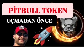 🔥PİTBULL COİN NEDEN YÜKSELMİYOR alt coinler neden yükselmiyor pitbull token pitbullcoin [upl. by Iaras]