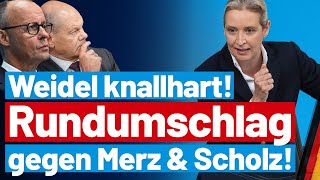 Merz stinksauer Alice Weidel rechnet knallhart mit der CDU ab  AfDFraktion im Bundestag [upl. by Nyvrem]