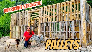 DIY Pallet BarnShed Build In 10 minutes Timelapse [upl. by Aleece425]