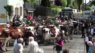 VERRIERES DE JOUX  Montée à lalpage 2011 [upl. by Wolenik861]