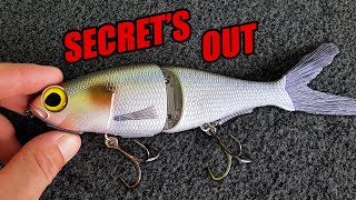 Is this the HOTTEST Technique in Fishing Chop Glide BAITSANITY Chimera [upl. by Iphigenia]