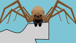 A Guide to Brown Recluse Spiders [upl. by Orelu]