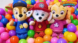 Paw Patrol Baby Pups Home Alone and get a New House Learning Videos for Kids [upl. by Arreyt220]