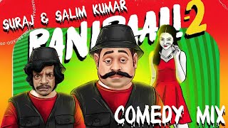 PANIPAALI  2 Comedy Troll Mix 😂 Troll Video  Panipaali 2 Song  Suhail Zakier [upl. by Akemeuwkuhc]