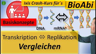 Vergleich DNAReplikation und Transkription mithilfe der Basiskonzepte der Biologie viel einfacher [upl. by Akena]