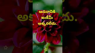 Top matalu 1557  neethi vakyalu  quotations  jeevitha satyalu  telugu sukthulu  manchi matalu [upl. by Letnahc]