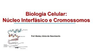 Biologia Celular 08 Núcleo Interfásico e Cromossomos [upl. by Nibram]