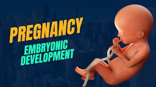 Pregnancy and Embryonic development class 12 biology chapter 03 human reproduction [upl. by Shafer]