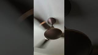 Ceiling fan 😩 Compton fan fan fansound shorts shortsvideo viralvideo [upl. by Lanaj]