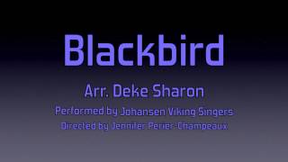 Johansen Viking Singers  Blackbird [upl. by Mihe]