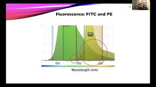 OpenFlow Multicolor Flow With Compensation Using a CytoFLEX LX [upl. by Lanaj]