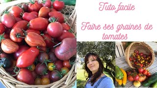 🍅 Tuto Facile Graines de Tomates Gratuites 😊 [upl. by Tnert316]