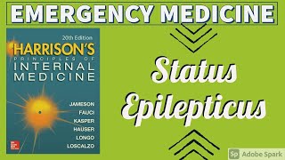 STATUS EPILEPTICUS  Causes  Treatment  Harrison [upl. by Ariec]