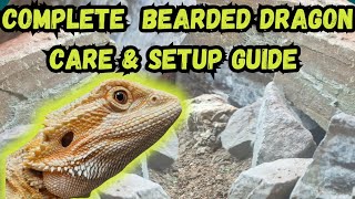 Complete Bearded Dragon Care amp Setup Guide [upl. by Lupe]