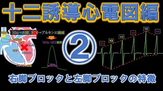 研修医、循環器看護師必見！「脚ブロック心電図の特徴」 [upl. by Grissom536]